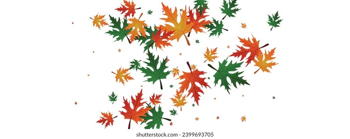 Orange Leaves Background White Vector. Floral Giving Texture. Green Design. Fall Pattern. Yellow Leaf Logo.