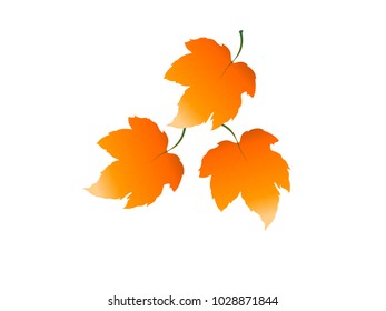 Orange Leaves - Cartoon Vector Image