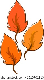 Orange leaves, illustration, vector on white background.