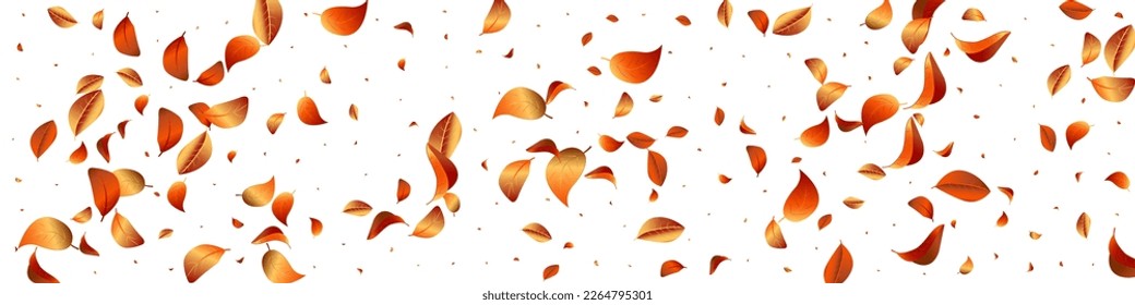 Orange Leaves Motion Vector White Panoramic Background Template. Transparent Solar Branch. Golden Leaf Organic Plant. Foliage Spring Banner.
