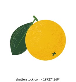 Naranja con hojas sobre un fondo blanco. Frutos de verano para un estilo de vida saludable. Frutas orgánicas exóticas. Impresión para almohadas decorativas, diseño interior, productos textiles de cocina, embalaje de jugos. Vector.