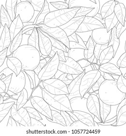 Orange leaves seamless pattern in black and white. Coloring page