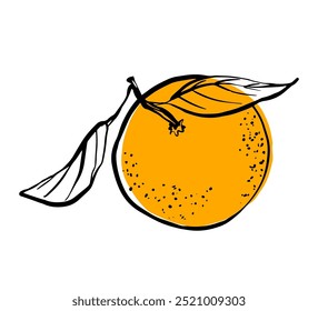 Un dibujo de boceto de hojas naranjas, Ilustración vectorial, línea negra y tinción naranja