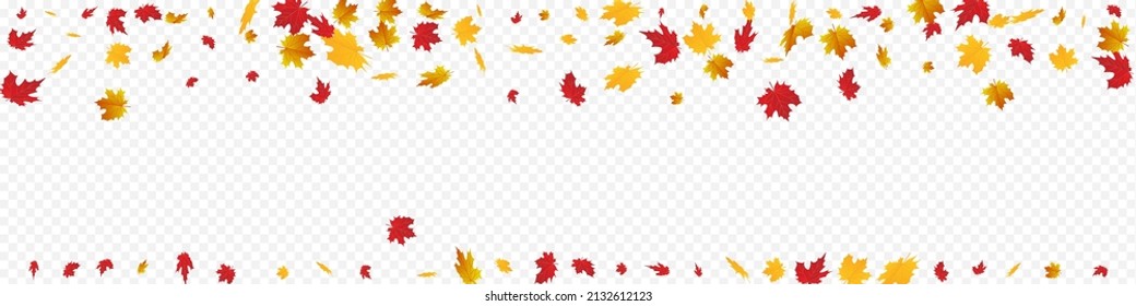 Orange Leaves Vector Panoramic Transparent Background. Celebrate Leaf Template. Autumnal Tree Plant Design. Ground Card.