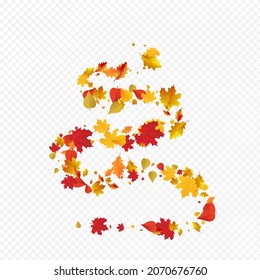 Orange Leaves Vector Transparent Background. Decoration Plant Design. Colorful Ground Leaf Illustration. Collection Card.