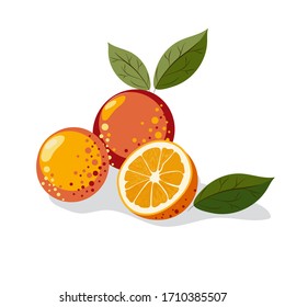 Orange with leaves whole and slices of oranges. Vector illustration of oranges. Vector illustration for decorative poster, emblem natural product, farmers market. Website page and mobile app design