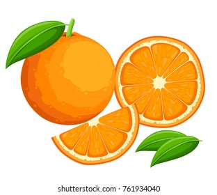 Orange with leaves whole and slices of oranges. Vector illustration of oranges. Vector illustration for decorative poster, emblem natural product, farmers market. Website page and mobile app design