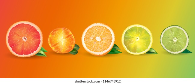 Orange, lemon, citrus, mandarin, grapefruit and lime