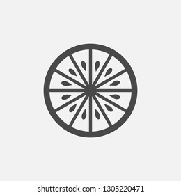 Orange and lemon fruit vector icon with seeds