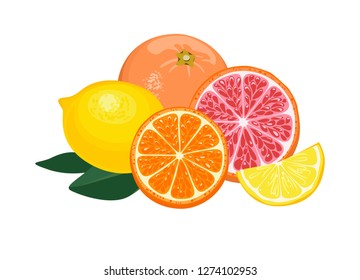 
Orange, lemon, grapefruit isolated on white background. Pile of citrus, whole and halved. Vector illustration in cartoon flat style.
