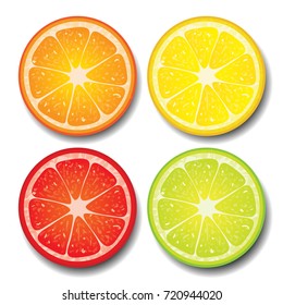 Orange , lemon , grapefruit and lime vector illustration