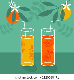 Orange and lemon juice. Two glasses with straws on a green background. Branches with fruits of lemon and orange. Isolated vector image