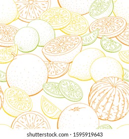 Orange lemon lime fruit graphic color seamless pattern background sketch illustration vector