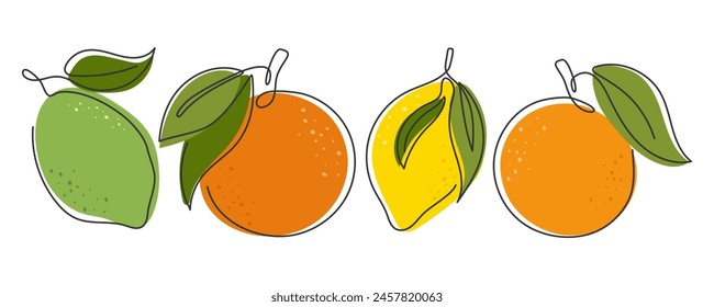 Orange, Zitrone, Limette, Grapefruit isoliert auf weiß. Kontinuierliche Linie gezeichnete tropische Früchte. Gesundes, frisches Zitrusset. Handgezeichnete Illustration. Gestaltungselement