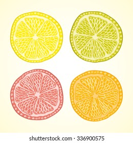 Orange, lemon, lime, grapefruit sliced vector set design template illustration icon background