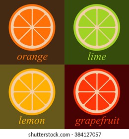 orange, lemon, lime and grapefruit. Vector Citrus fruits