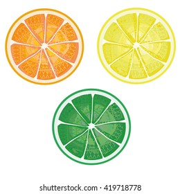 Orange, lemon, lime - illustration, vector