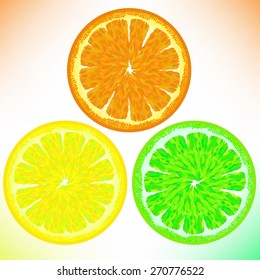  Orange Lemon Lime Isolated on White Background