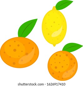 Orange lemon and mandarin healthy tropical fruits with green leaves food concept object on white background