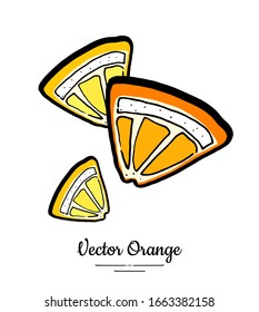 Orange lemon quarter slices set vector isolated. Cut chopped orange grapefruit lemon slices. Fruit hand drawn. Sour citrus vegetarian logo sketch ink style. Orange yellow illustration white background