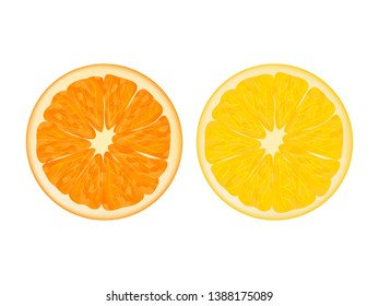 orange and lemon. Realistic style. Vector illustration. Isolated on white.