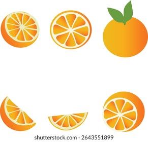 Conjunto de naranja y limón de Ilustración vectorial cítrica.
Bueno para el Anuncio, cartel, tarjeta de felicitación, tarjeta del partido, invitación, Plantilla, publicidad, campaña y redes sociales. 

