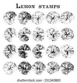 Orange or lemon stamps vector illustration 