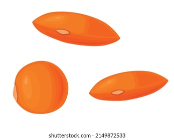 Orangefarbene Linsen. Bohnen-Symbol Vektorgrafik von Leguminosen im Cartoon-Stil.