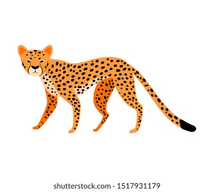 Orange Leopard. Vector illustration on a white background.