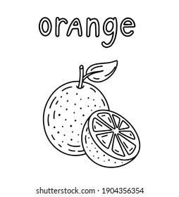Orange and lettering black and white vector illustration
