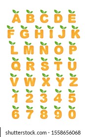 Orange letters font, sliced fresh orange. Fruit alphabet. Letters and numbers food