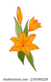 Orange lilies, flower arrangement, vector color element for the design of invitations, postcards.