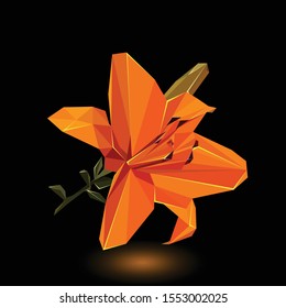 Orange lily flower on a black background, polygonal flower, vector illustration