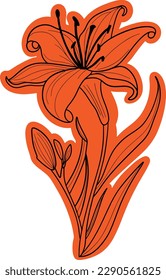 
Orangefarbene Lilienblume, Vektorsymbol. Es ist eine vielseitige Illustration, die für verschiedene Anwendungen konzipiert wurde. Für Aufkleber oder Karten, Umschläge oder Beutel verwendbar.
