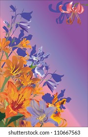 orange lily illustration on lilac background