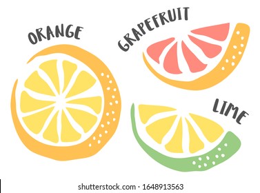 Orange, Lime and Grapefruit drawing hand painted with ink brush isolated on white background. Vector illustration