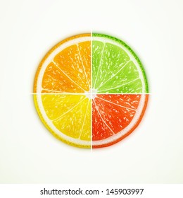 Orange, lime, lemon and grapefruit quartered eps10 vector illustration