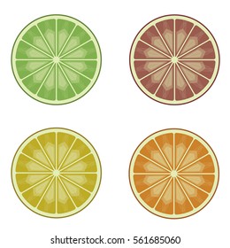 Orange lime lemon grapefruit slice