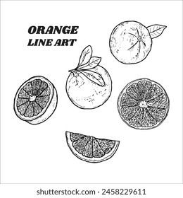 Orange Line Art Black and White