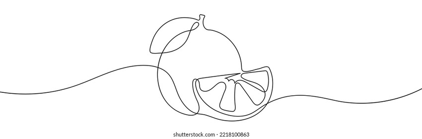 Orange Line Art Drawing. Continuous Line Drawing of Orange . Vector illustration