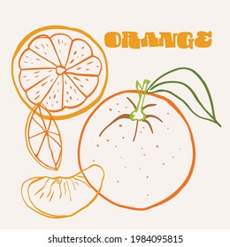 Orange line art hand-drawn multicolor modern vector illustration. Colorful line art exotic fruit design.