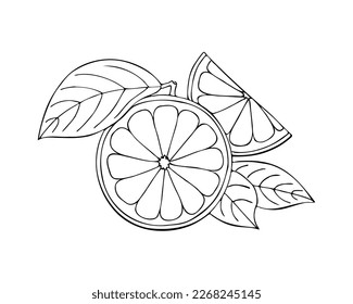 Doodle de dibujo de línea naranja aislado en fondo blanco. Esbozo. Ilustración del vector