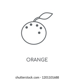 Orange linear icon. Orange concept stroke symbol design. Thin graphic elements vector illustration, outline pattern on a white background, eps 10.