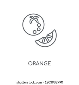 Orange linear icon. Orange concept stroke symbol design. Thin graphic elements vector illustration, outline pattern on a white background, eps 10.