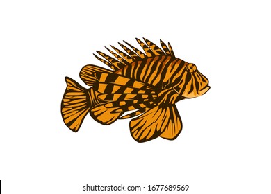 orange lion fish, vector illustration