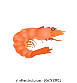 Orange Lobster.side view.Isolated vector illustration on a white background.