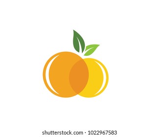 Orange logo design Vector icon illustration design