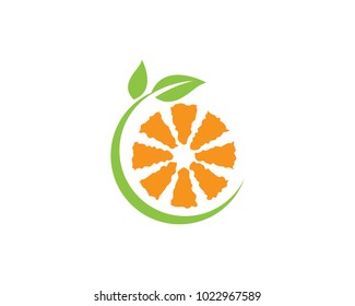 Orange logo design Vector icon illustration design