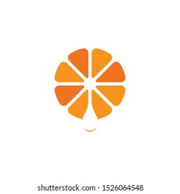 Orange logo design Vector icon illustration design