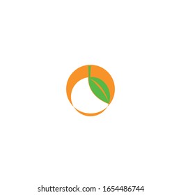 Orange logo design Vector icon illustration design